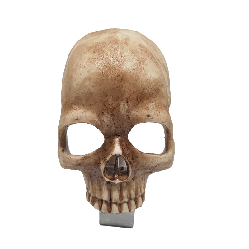 Human Skull Light