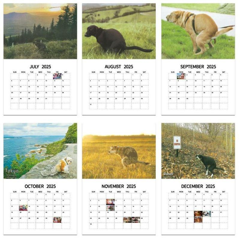 2025 Dogs Pooping in Beautiful Places Calendar