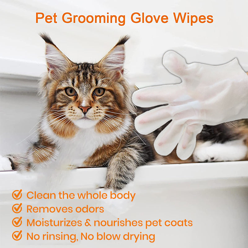 Pet Glove Wipes for Dogs and Cats