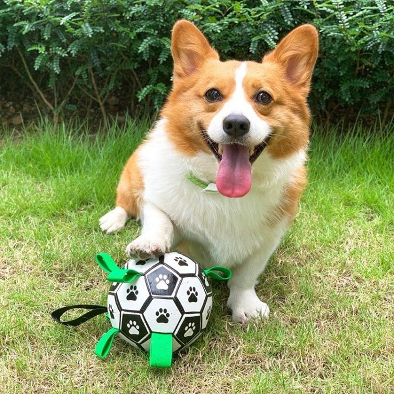 Dog Toys Soccer Ball