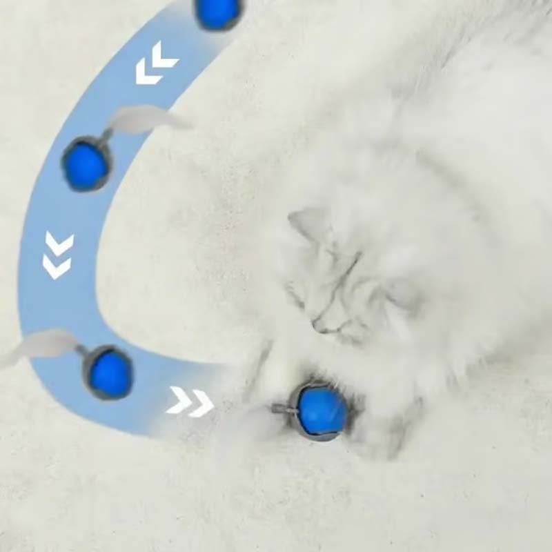 Interactive Cat Toy