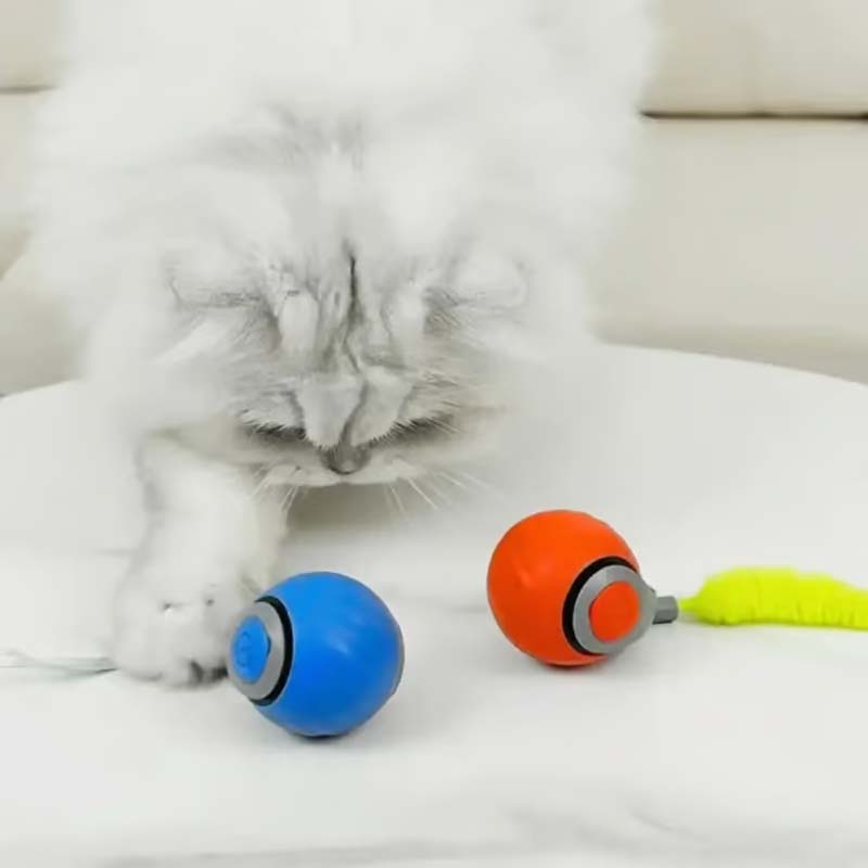 Interactive Cat Toy