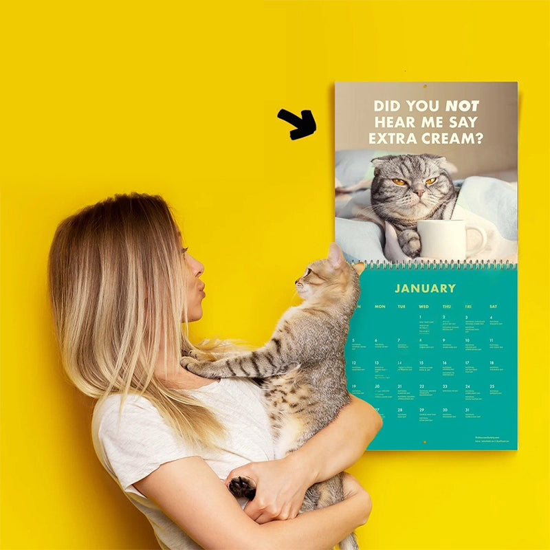 2025 Pissed-off Cats Calendar