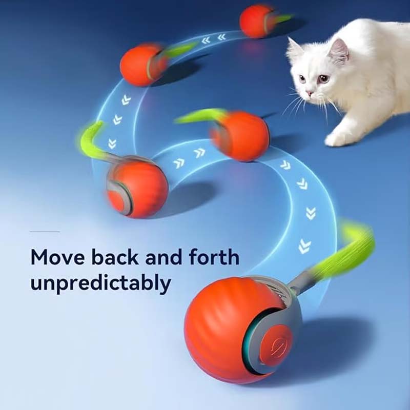 Interactive Cat Toy