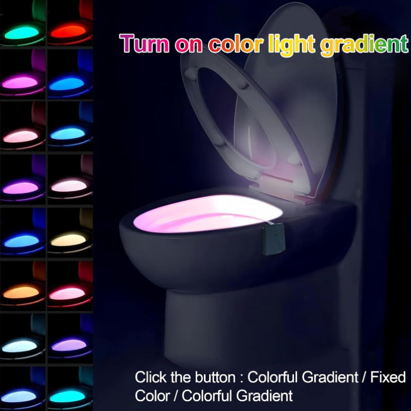 Rechargeable LED Toilet Light