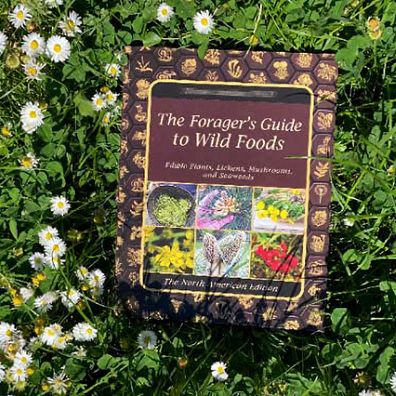 The Forager’s Guide to Wild Foods