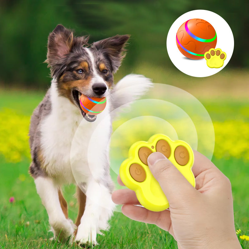 Chew-Resistant Smart Pet Ball