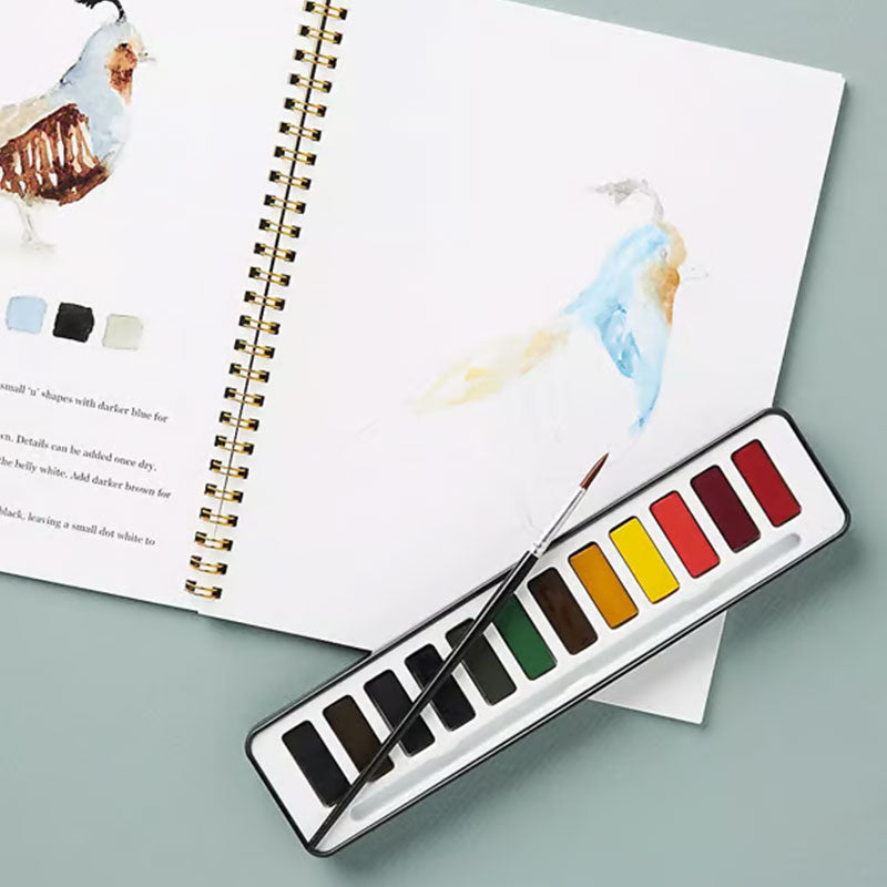 🖼️Beginner-Friendly💕 Watercolor Workbook