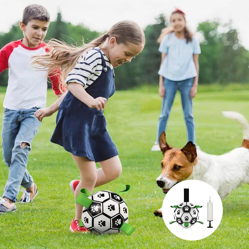 Dog Toys Soccer Ball