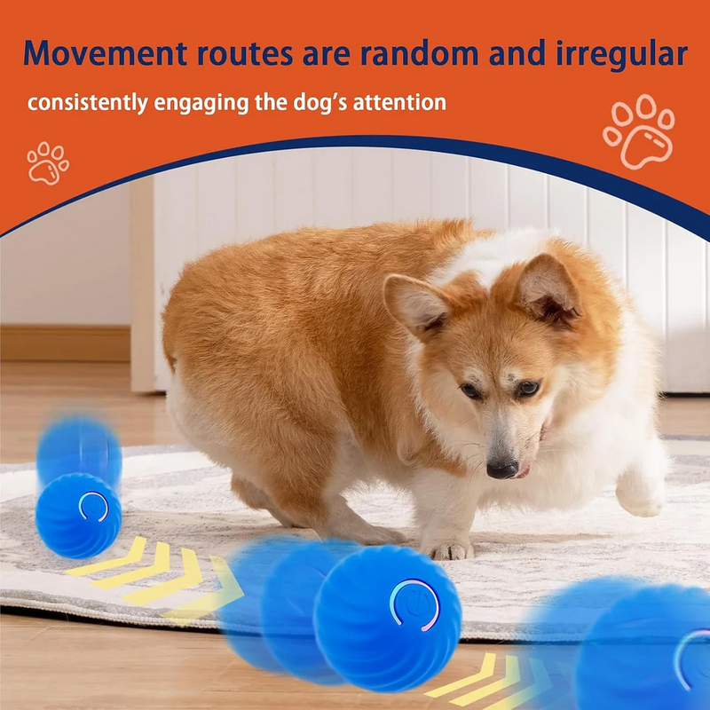 Electric Rolling Pet Toy Ball