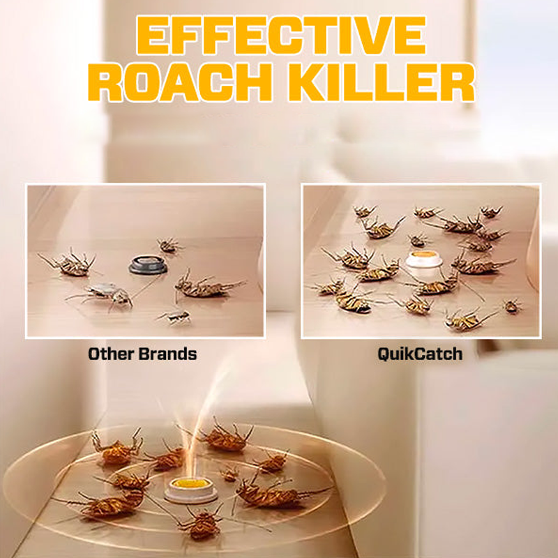 Roach Killing Bait Station