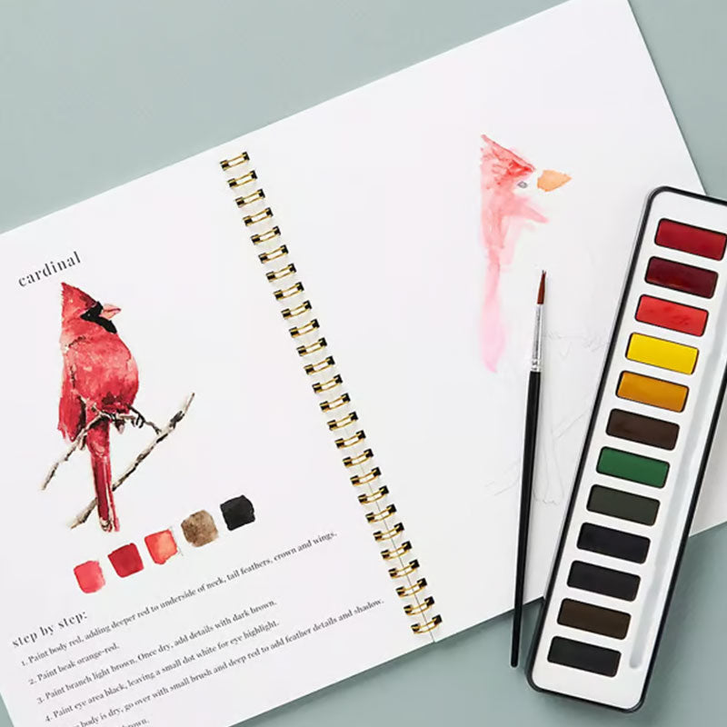 🖼️Beginner-Friendly💕 Watercolor Workbook