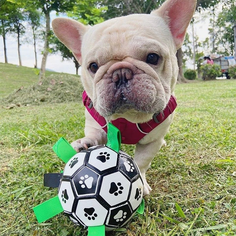 Dog Toys Soccer Ball