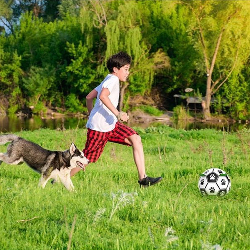 Dog Toys Soccer Ball