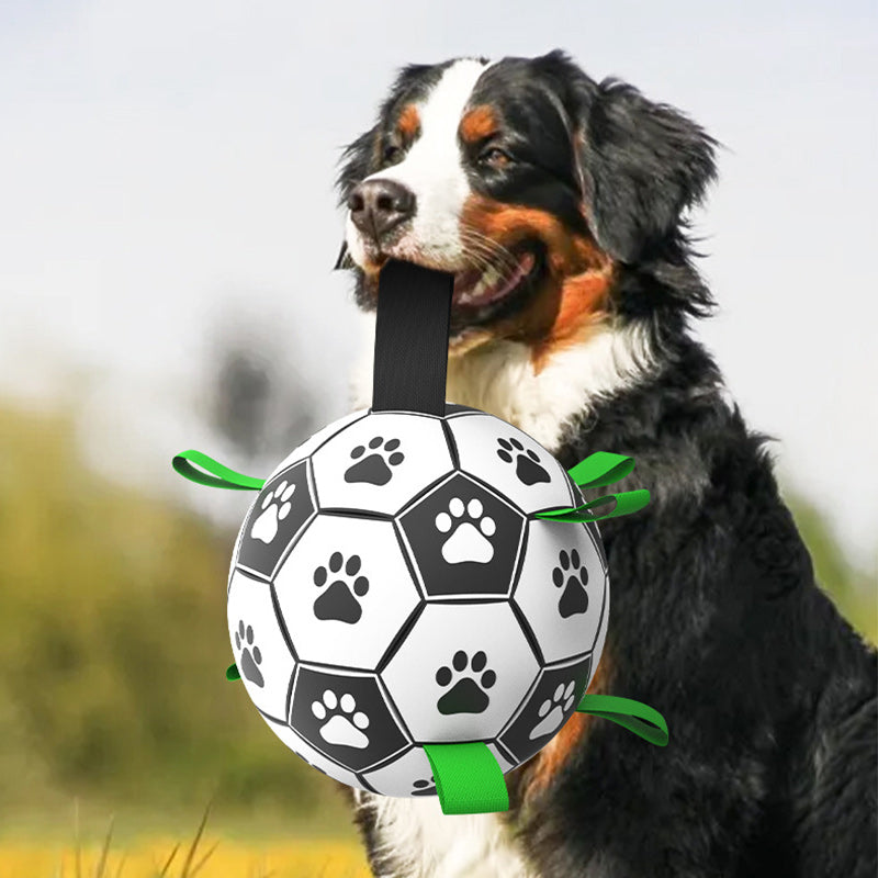 Dog Soccer Toy