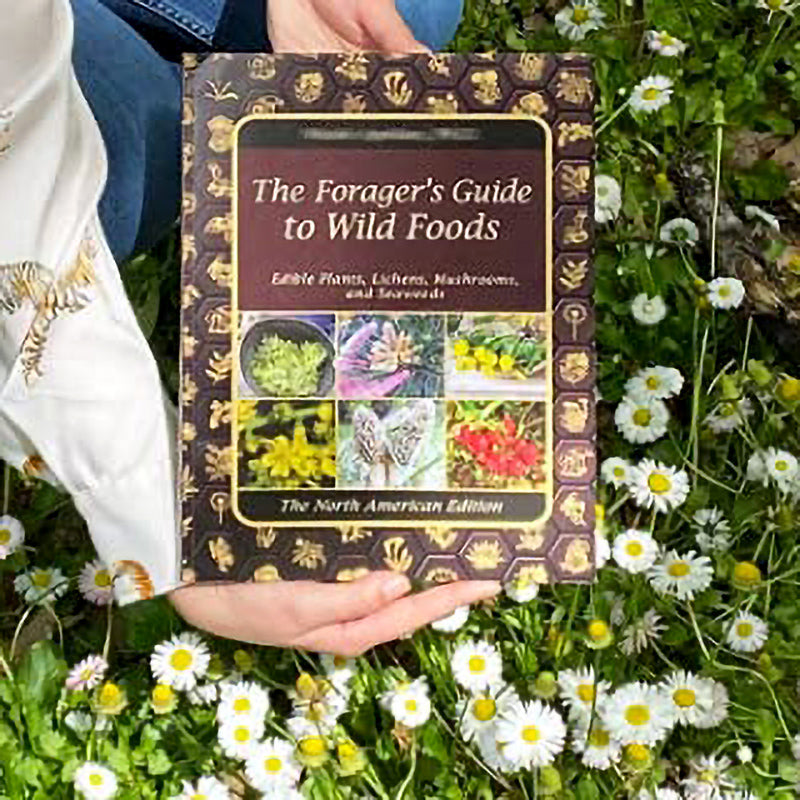 The Forager’s Guide to Wild Foods