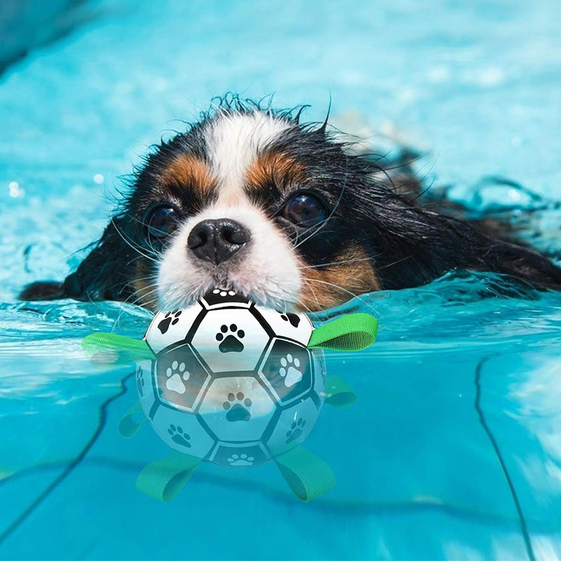 Dog Soccer Toy