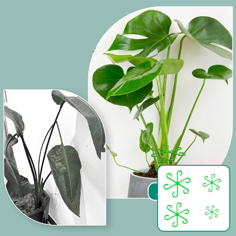 Monstera support retainer