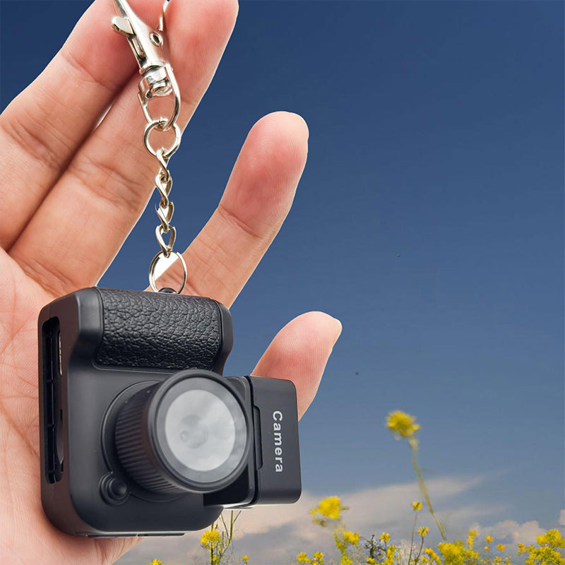 Compact Digital Camera With LCD Screen