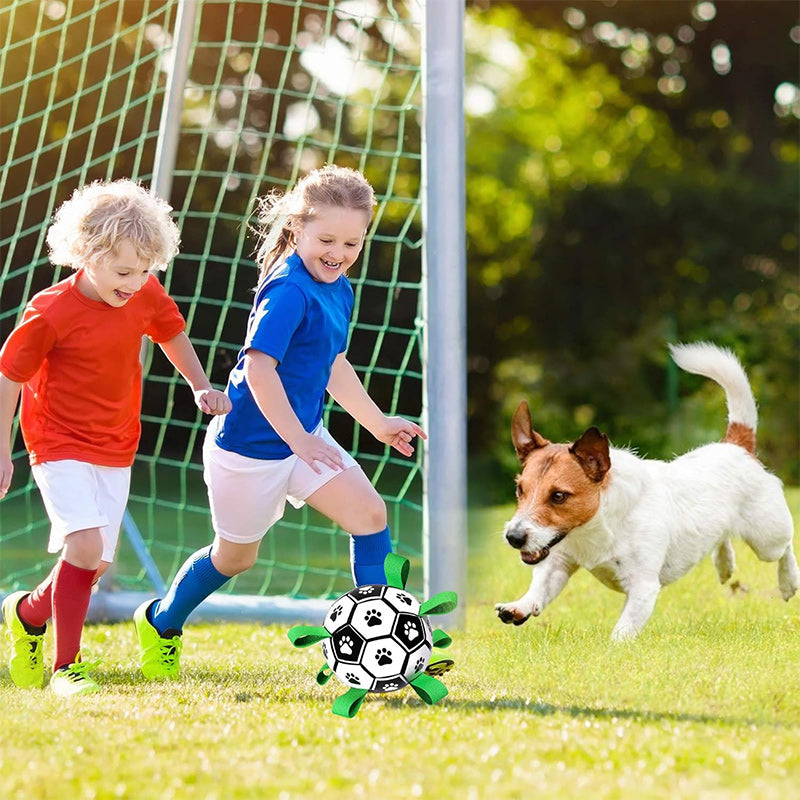 Dog Soccer Toy