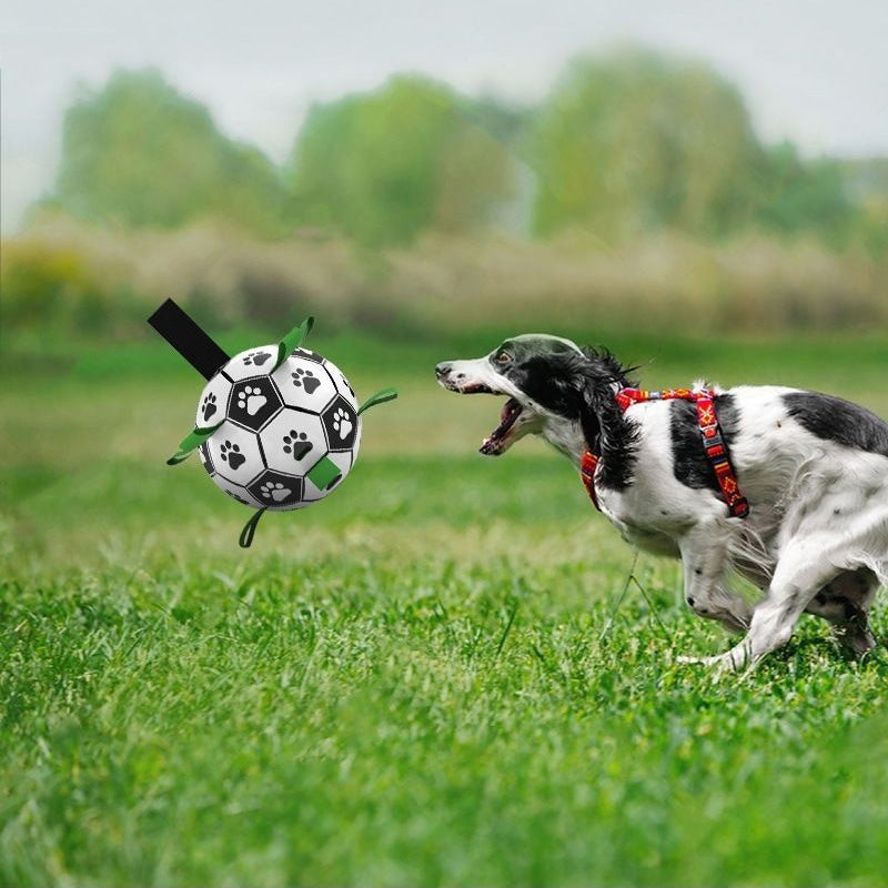 Dog Toys Soccer Ball