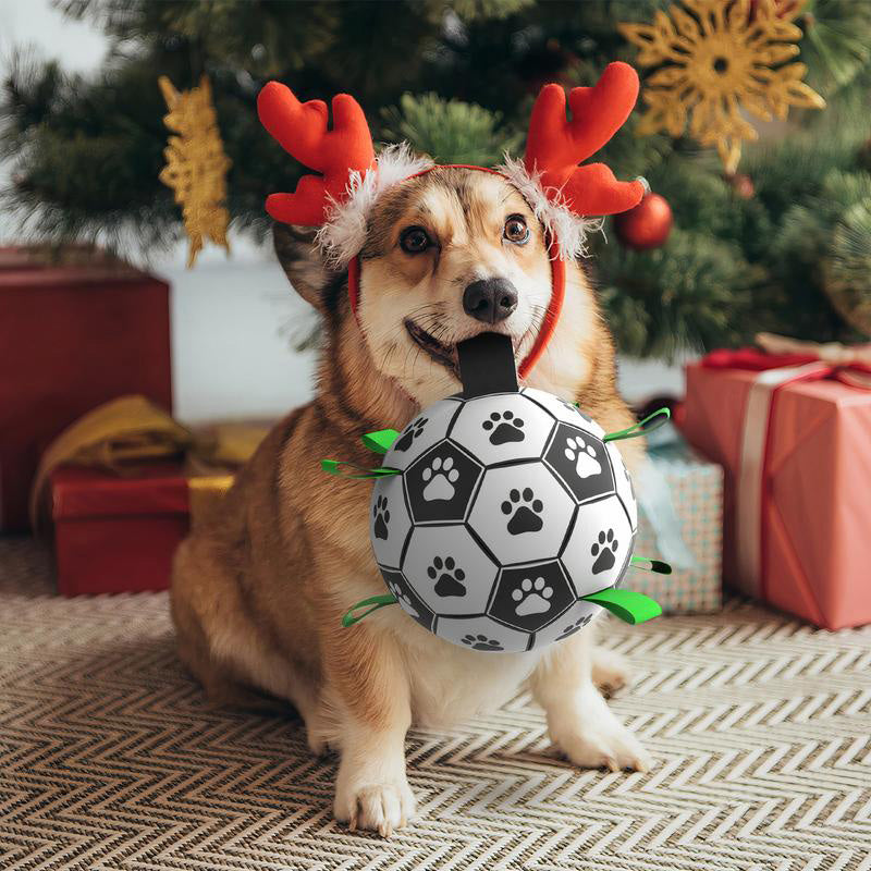 Dog Toys Soccer Ball