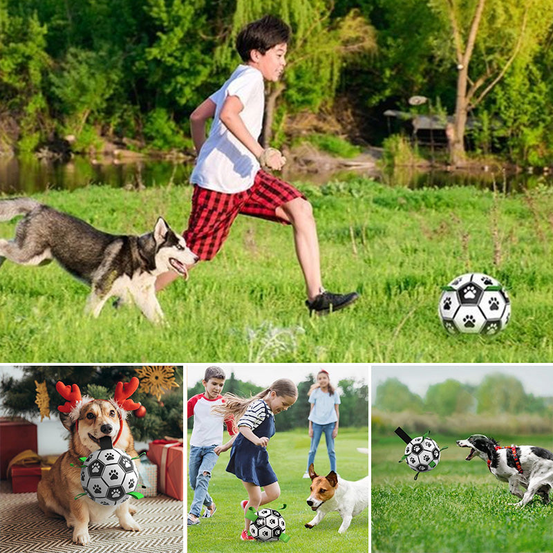 Dog Toys Soccer Ball