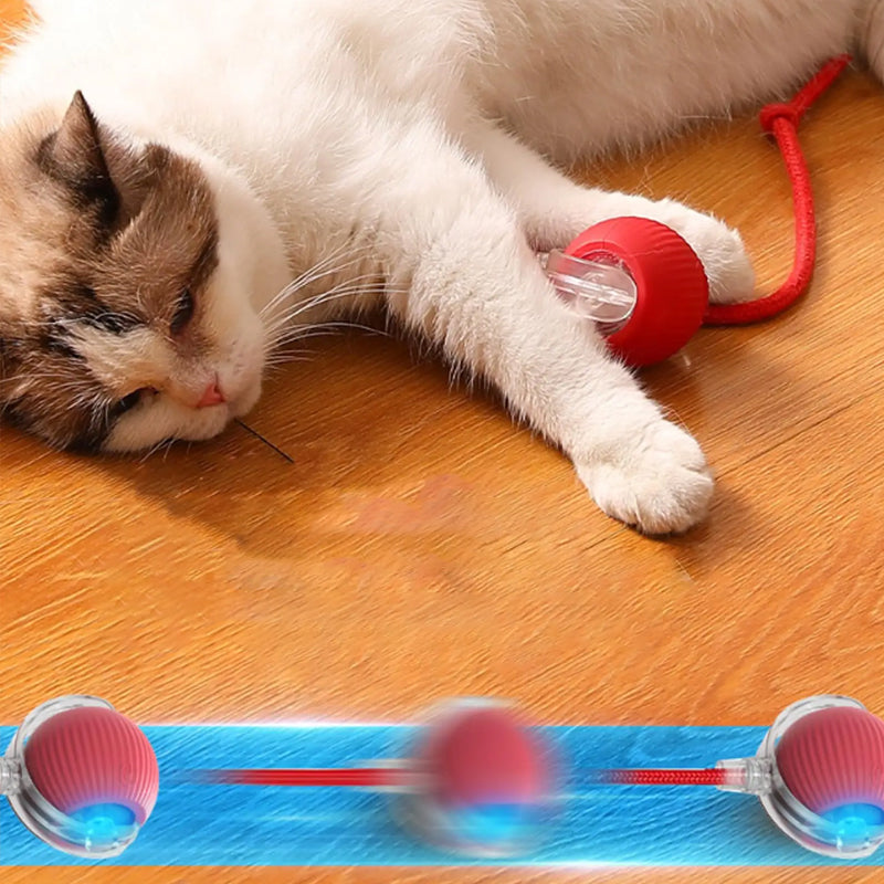 Smart Interactive Cat Ball