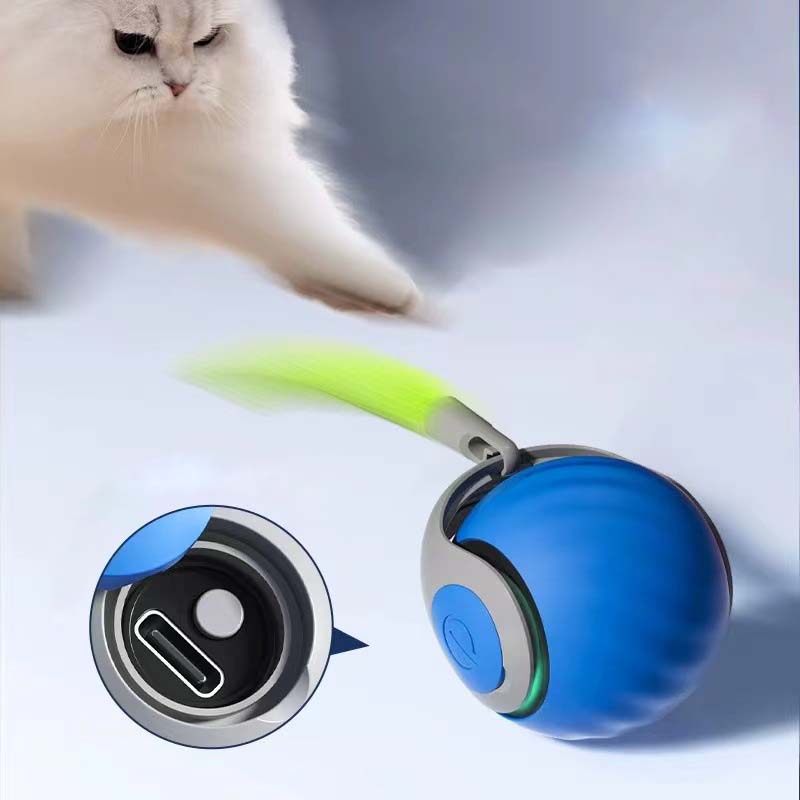 Interactive Cat Toy