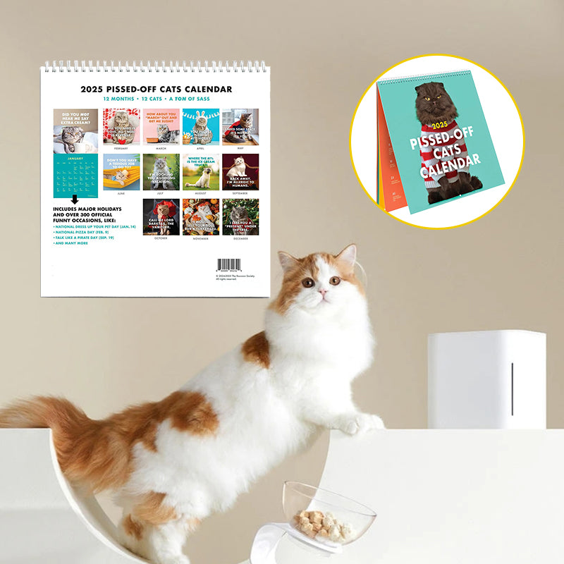 2025 Pissed-off Cats Calendar