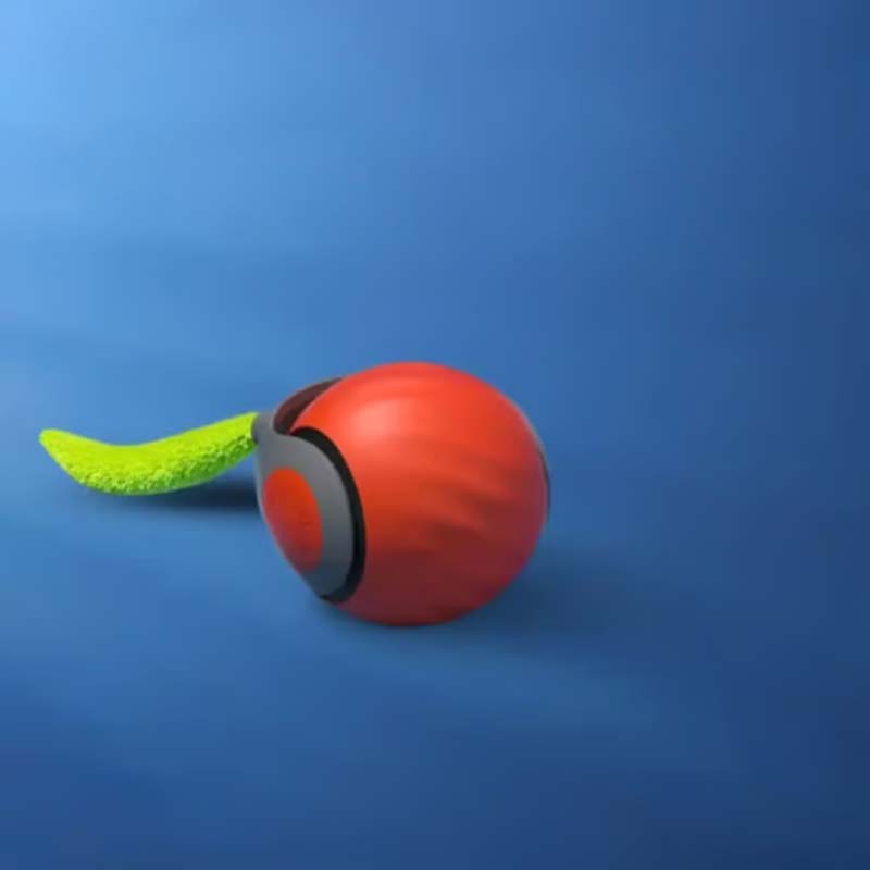 Interactive Cat Toy