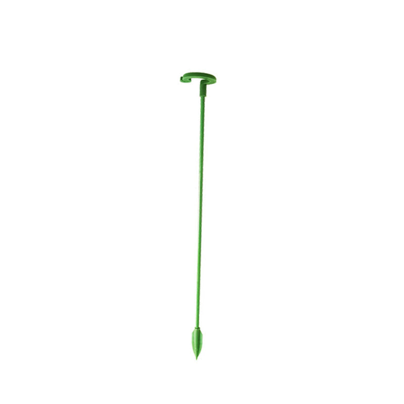 Single Plant Stem