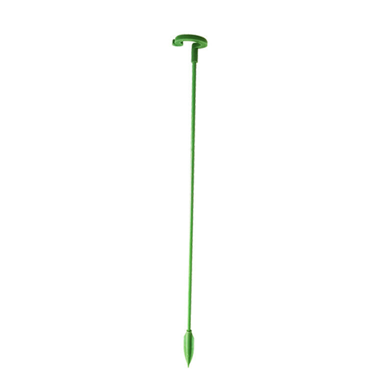 Single Plant Stem